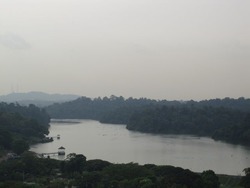 thomson-800 photo thumbnail #7